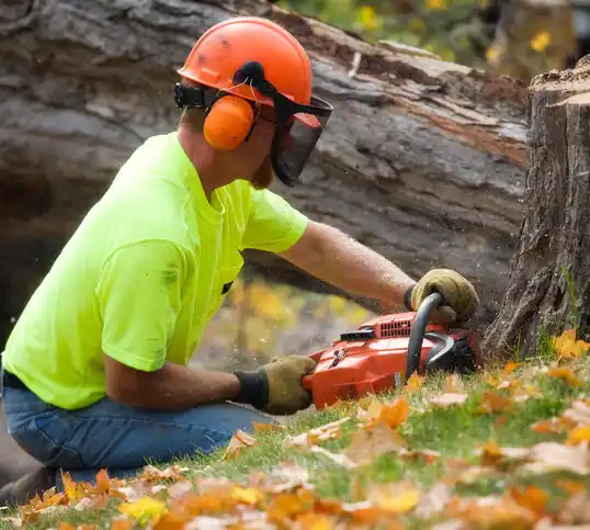 tree services Lemannville